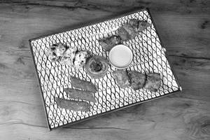 Non-veg Indian Tandoori Platter
