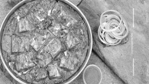 Paneer bhurji curry