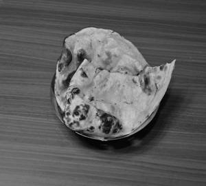 Plain Naan
