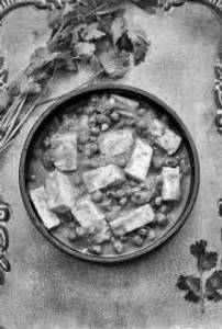 Motor paneer