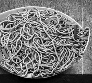 Non veg mixed hakka noodles                                                                                                                                                             