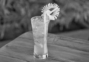 Virgin Mojito