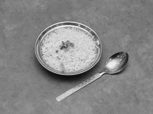 Plain Rice