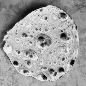 Khasta Roti Butter