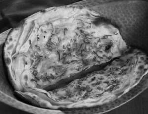 Mirchi Paratha