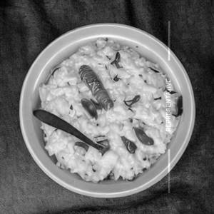 Curd Rice