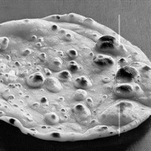 Chapati