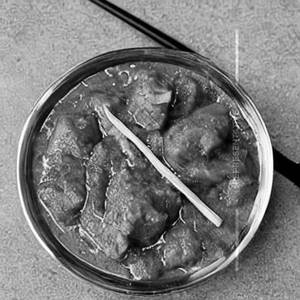 Soya Chungs Masala