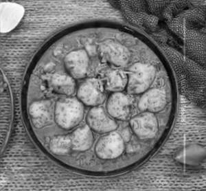 Dum Aloo