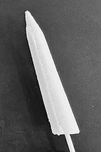 Mango Stick Kulfi.