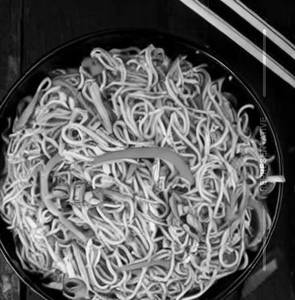 Hakka Noodles