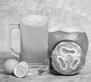 Elaneer Fresh Lime Juice _2(400+400)