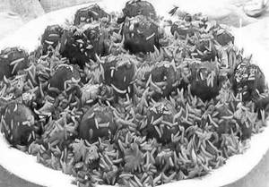 Veg. Manchurian Fry Rice