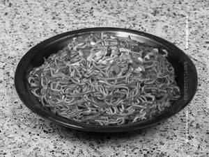 Schezwan Noodles