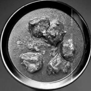 Mutton Kadhai