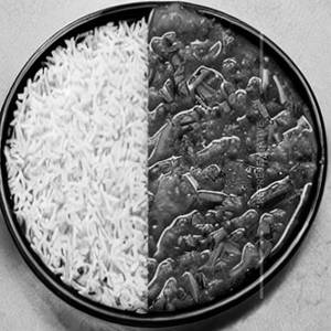 Plain rice