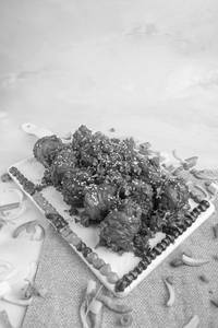 Paneer Thread Rolls