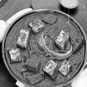 Paneer bhur ji