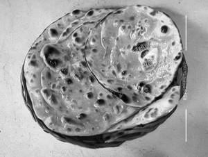 Butter Paratha