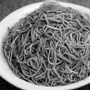 Cantonese Style Noodles