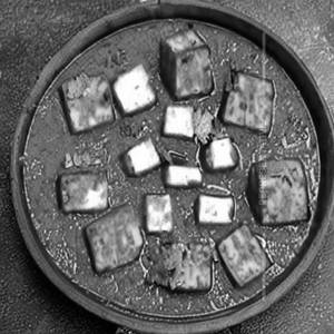 Paneer Badshah