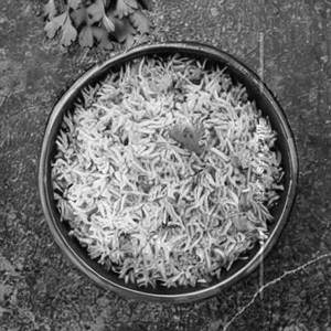 Masala Rice