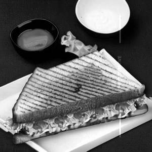 Veg Grill Sandwich