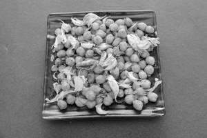 Chana Dry Fry