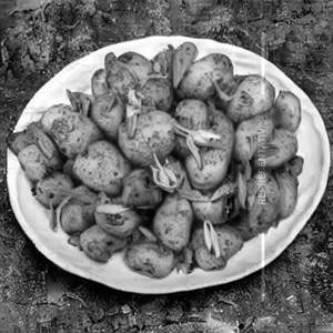 Dragon Potato