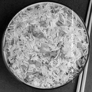 Egg Fried Rice