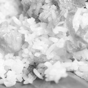 Biriyani Rice (non Veg)