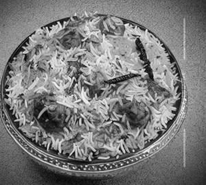 Food Masti Special Biryani
