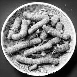 Golden Fried Baby Corn