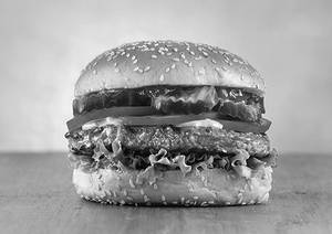 Mexican Cheese Burger