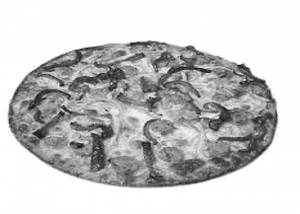 Special Chicken Pathani Pizza