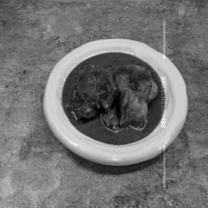 Boneless Lanka Chicken