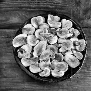 Garlic Mushroom
