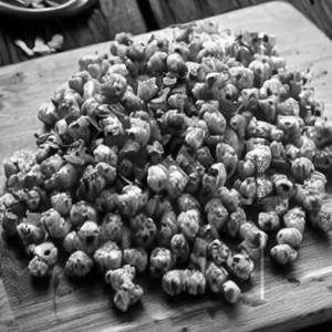 Crispy Corn