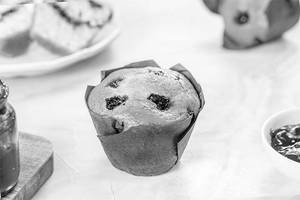 Blueberry Muffin