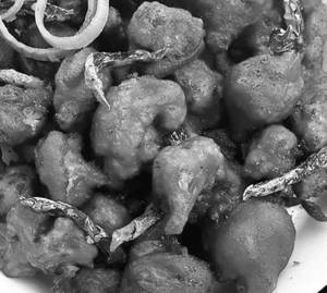 GOBI 65