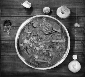 Mushroom Do Piaza
