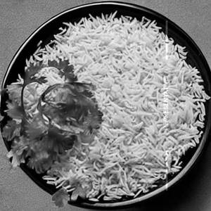Plain Rice              