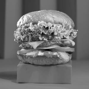 The Chicken n Cheese Burger