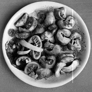 Mushroom Salt & Pepper