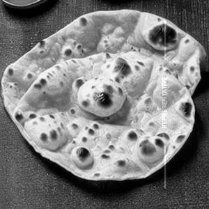 Gujarati Butter Roti