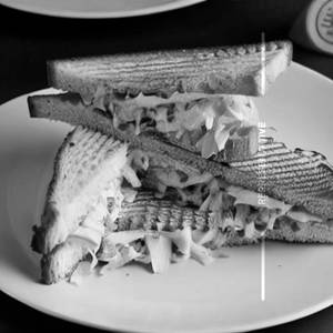 Plain Cheese Sandwich