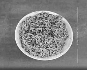 Schezwan Noodles [Triples] 