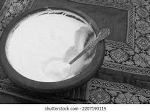 Plain Dahi