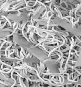 Hakka Noodles