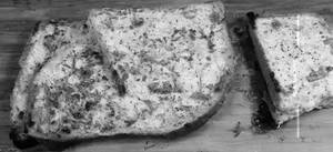 Tandoor Paneer Toast